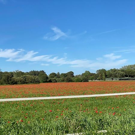 Le Gite Des Poiriers Uzès Zewnętrze zdjęcie